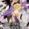 Манга Так ли плохо быть вороной. Том 2