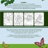 Раскраска Anime art. Волшебное приключение. Книга для творчества в стиле аниме и манга