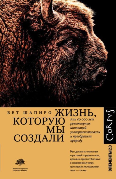 Книга Жизнь, которую мы создали. Шапиро Бет
