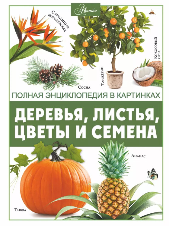 Книга Деревья, листья, цветы и семена